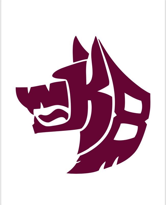  WPK8 Logo